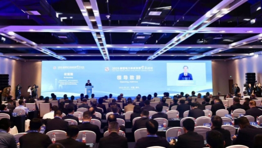 2025新型电力系统发展（崇礼）论坛举行