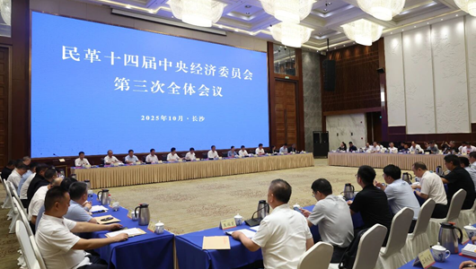 民革十四届中央经济委员会第三次全体会议在长沙召开