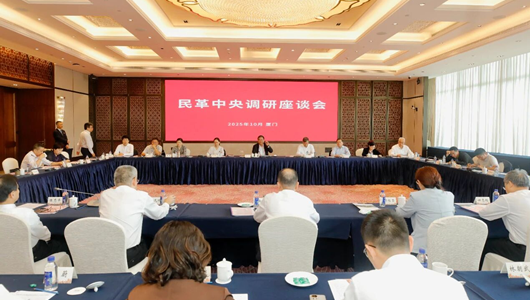 何报翔率队赴福建围绕两岸经贸关系发展调研