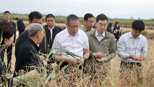 郑建邦率队赴新疆调研盐碱地综合开发利用治理