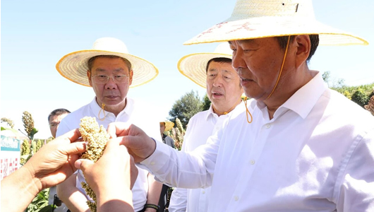 何报翔率队赴山西调研“提升有机旱作农业品质 推动县域经济高质量发展”